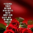 수요일 - 종로구 인사동길 36 | 수요일