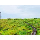 [D+2] 제주 올레길(JEJU Olle Trail) 걷기 18코스의 여정(2)
