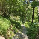 (주)선암 - 3881 | (주)선암