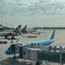 769 | [삿포로 여행] 대한항공 직항 후기 (인천 - 삿포로/치토세 KE769, KE770 / 기내 보조배터리, 기내식)