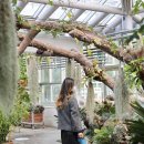 경주동궁원 알화장실 | 경주 가볼만한곳 동궁원 입장료 식물원 후기