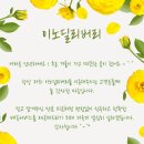 이노치과기공소 이미지