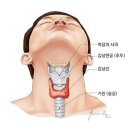 6페이지 이미지