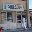 소망직업소개소 이미지