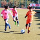 백암다목적운동장 이미지