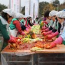 계룡새마을