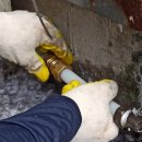 진영산업 이미지