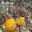 새봄농장 이미지