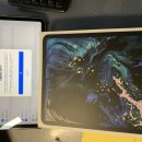 ipad pro 11 64G wifi + LTE - $850 애플케어 가입가능 (완료) 이미지