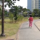 메낙골공원 이미지