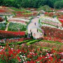 도당공원 이미지