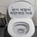변기 색깔이 하얀색인 이유 이미지