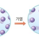 온도과학