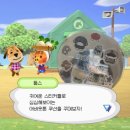 폴라동물병원 | 둡스 ✦ 6월 붕방방 일상 (2)