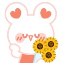 피자알볼로대구 이미지