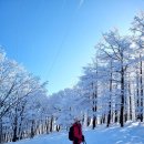 정선 운탄고도(2월8일)토요일 이미지