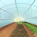 화탑영농조합법인 이미지