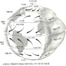 마르커뮤니케이션