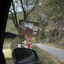 옥당걸숲속 이미지