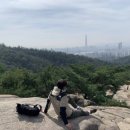 로우니
