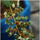 조은농장 이미지