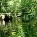 삼봉야영장 이미지