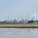 장고항2리마을회관 이미지