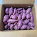 베로니카네집 | [꿀먹은농부] 베로니카 해남 꿀 햇고구마 후기 (+다이어트 고구마 에그타르트 만들기)