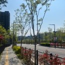 쇼타임PC방 수원망포점 | 연휴동안 수원 핫플 부시기🍀