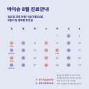 봄여름가을겨울피부과의원 - 강남구 가로수길 79 | [신논현역 피부과]바이슈의원 8월 써마지 이벤트
