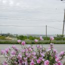 성환주유소 이미지