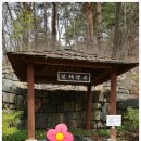 점봉산막국수 이미지