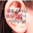 정치안정핵심고리, [耳目口鼻]1.큰귀2.이마가로주름살 3.입모양 4.心相~가로주름 이미지