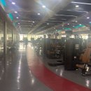 테일러 짐 이미지