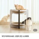 고로고로펫 이미지