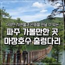 마장호수흔들다리 | 파주 가볼만한곳 마장호수 출렁다리 곤충 좋아하는 6세 아이랑 주말 방문 후기