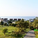 (주)대아울릉리조트 이미지