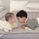 스테이퐁당 이미지