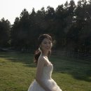 [Wedding] #33. 2025년 봄, 제주스냅 아로하데이 촬영 후기