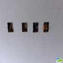 참빛인테리어 이미지