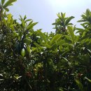 무랑민박 이미지