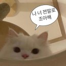 연어테마길(화전마을) 화장실 | 안녕하세요 겨울 일본여행갑니다 #후쿠오카 🛫