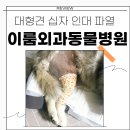 이룸외과동물병원 이미지