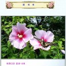 나모 웹에디터 만들기ㅡ3 (레이어.만들기) 이미지