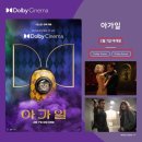 토마토시네마 이미지