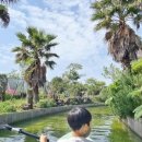 썬샤인협재 이미지