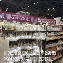 백자로 L | 이것만큼은 다이소보다 무인양품! 욕실용품 재구매템 3가지