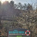 대흥동 유아숲체험원 이미지