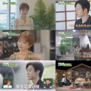 연하남 | 고준희 맞선 이야기: 9살, 12살 연하남들과의 솔직한 만남 후기!