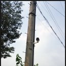 금동회관 이미지